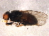 ( - BIOUG06303-H04)  @12 [ ] CreativeCommons - Attribution (2014) CBG Photography Group Centre for Biodiversity Genomics