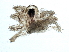  ( - BIOUG06316-A01)  @13 [ ] CreativeCommons - Attribution (2014) CBG Photography Group Centre for Biodiversity Genomics