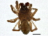  ( - BIOUG06316-D10)  @14 [ ] CreativeCommons - Attribution (2014) CBG Photography Group Centre for Biodiversity Genomics