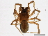  ( - BIOUG06316-D12)  @13 [ ] CreativeCommons - Attribution (2014) CBG Photography Group Centre for Biodiversity Genomics