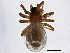  ( - BIOUG06316-F03)  @13 [ ] CreativeCommons - Attribution (2014) CBG Photography Group Centre for Biodiversity Genomics