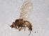  ( - BIOUG06761-A05)  @12 [ ] CreativeCommons - Attribution (2014) CBG Photography Group Centre for Biodiversity Genomics