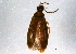  ( - BIOUG04451-F01)  @13 [ ] CreativeCommons - Attribution (2014) CBG Photography Group Centre for Biodiversity Genomics