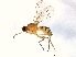  ( - BIOUG04632-G08)  @15 [ ] CreativeCommons - Attribution (2014) CBG Photography Group Centre for Biodiversity Genomics