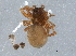  ( - BIOUG04875-E02)  @13 [ ] CreativeCommons - Attribution (2014) CBG Photography Group Centre for Biodiversity Genomics