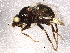  ( - BIOUG05099-H05)  @12 [ ] CreativeCommons - Attribution (2014) CBG Photography Group Centre for Biodiversity Genomics