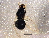  ( - BIOUG05114-A06)  @12 [ ] CreativeCommons - Attribution (2014) CBG Photography Group Centre for Biodiversity Genomics