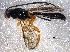  ( - BIOUG05120-F07)  @12 [ ] CreativeCommons - Attribution (2014) CBG Photography Group Centre for Biodiversity Genomics