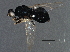  ( - BIOUG05170-D04)  @12 [ ] CreativeCommons - Attribution (2014) CBG Photography Group Centre for Biodiversity Genomics