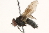  ( - BIOUG05441-G07)  @13 [ ] CreativeCommons - Attribution (2015) CBG Photography Group Centre for Biodiversity Genomics