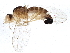  ( - BIOUG04823-A01)  @13 [ ] CreativeCommons - Attribution (2014) CBG Photography Group Centre for Biodiversity Genomics