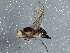  ( - BIOUG05097-D10)  @12 [ ] CreativeCommons - Attribution (2014) CBG Photography Group Centre for Biodiversity Genomics