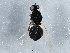 ( - BIOUG05118-G07)  @12 [ ] CreativeCommons - Attribution (2014) CBG Photography Group Centre for Biodiversity Genomics