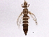  ( - BIOUG05179-E12)  @14 [ ] CreativeCommons - Attribution (2014) CBG Photography Group Centre for Biodiversity Genomics