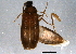  ( - BIOUG05881-H05)  @14 [ ] CreativeCommons - Attribution (2014) CBG Photography Group Centre for Biodiversity Genomics