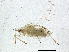 ( - BIOUG05961-B08)  @13 [ ] CreativeCommons - Attribution (2014) CBG Photography Group Centre for Biodiversity Genomics
