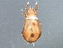  ( - BIOUG06416-A08)  @14 [ ] CreativeCommons - Attribution (2014) CBG Photography Group Centre for Biodiversity Genomics