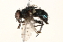  ( - BIOUG06828-D03)  @13 [ ] CreativeCommons - Attribution (2015) CBG Photography Group Centre for Biodiversity Genomics