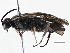  ( - BIOUG08108-C04)  @13 [ ] CreativeCommons - Attribution (2014) CBG Photography Group Centre for Biodiversity Genomics