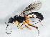  ( - BIOUG05115-D10)  @13 [ ] CreativeCommons - Attribution (2014) CBG Photography Group Centre for Biodiversity Genomics