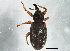  ( - BIOUG07472-E05)  @14 [ ] CreativeCommons - Attribution (2014) CBG Photography Group Centre for Biodiversity Genomics