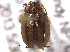  ( - BIOUG13437-D01)  @13 [ ] CreativeCommons - Attribution (2014) CBG Photography Group Centre for Biodiversity Genomics