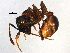  ( - BIOUG13541-B02)  @14 [ ] CreativeCommons - Attribution (2015) CBG Photography Group Centre for Biodiversity Genomics