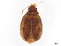  ( - BIOUG14179-F06)  @11 [ ] CreativeCommons - Attribution Share-Alike (2024) CBG Photography Group Centre for Biodiversity Genomics