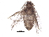  ( - BIOUG14219-A12)  @12 [ ] CreativeCommons - Attribution (2015) CBG Photography Group Centre for Biodiversity Genomics