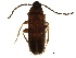  ( - BIOUG14220-E07)  @14 [ ] CreativeCommons - Attribution (2016) CBG Photography Group Centre for Biodiversity Genomics