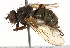  ( - BIOUG14384-A12)  @14 [ ] CreativeCommons - Attribution (2015) CBG Photography Group Centre for Biodiversity Genomics
