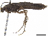  ( - BIOUG14446-E04)  @11 [ ] CreativeCommons - Attribution (2019) CBG Photography Group Centre for Biodiversity Genomics