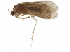  ( - BIOUG14743-A01)  @11 [ ] CreativeCommons - Attribution (2019) CBG Photography Group Centre for Biodiversity Genomics