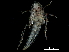  ( - BIOUG14927-D12)  @11 [ ] CreativeCommons - Attribution (2017) CBG Photography Group Centre for Biodiversity Genomics