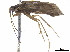  ( - BIOUG15086-A02)  @11 [ ] CreativeCommons - Attribution (2019) CBG Photography Group Centre for Biodiversity Genomics