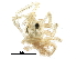  ( - BIOUG22696-A10)  @13 [ ] CreativeCommons - Attribution (2016) CBG Photography Group Centre for Biodiversity Genomics