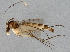 ( - BIOUG05242-B03)  @12 [ ] CreativeCommons - Attribution (2014) CBG Photography Group Centre for Biodiversity Genomics