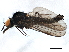  ( - BIOUG05242-E03)  @13 [ ] CreativeCommons - Attribution (2014) CBG Photography Group Centre for Biodiversity Genomics