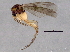  ( - BIOUG05242-E09)  @12 [ ] CreativeCommons - Attribution (2014) CBG Photography Group Centre for Biodiversity Genomics