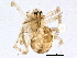  ( - BIOUG05290-G11)  @13 [ ] CreativeCommons - Attribution (2014) CBG Photography Group Centre for Biodiversity Genomics