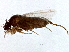  ( - BIOUG05367-F02)  @12 [ ] CreativeCommons - Attribution (2014) CBG Photography Group Centre for Biodiversity Genomics