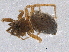  ( - BIOUG05370-E11)  @13 [ ] CreativeCommons - Attribution (2014) CBG Photography Group Centre for Biodiversity Genomics