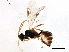  ( - BIOUG05327-A06)  @13 [ ] CreativeCommons - Attribution (2014) CBG Photography Group Centre for Biodiversity Genomics