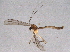  ( - BIOUG05792-F02)  @13 [ ] CreativeCommons - Attribution (2014) CBG Photography Group Centre for Biodiversity Genomics