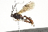  ( - BIOUG06165-B05)  @14 [ ] CreativeCommons - Attribution (2014) CBG Photography Group Centre for Biodiversity Genomics