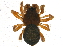  ( - BIOUG06182-B12)  @13 [ ] CreativeCommons - Attribution (2014) CBG Photography Group Centre for Biodiversity Genomics