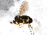  ( - BIOUG06004-H07)  @14 [ ] CreativeCommons - Attribution (2014) CBG Photography Group Centre for Biodiversity Genomics