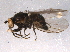  ( - BIOUG06512-A01)  @12 [ ] CreativeCommons - Attribution (2014) CBG Photography Group Centre for Biodiversity Genomics