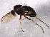  ( - BIOUG06616-D10)  @12 [ ] CreativeCommons - Attribution (2014) CBG Photography Group Centre for Biodiversity Genomics