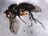  ( - BIOUG06616-H01)  @12 [ ] CreativeCommons - Attribution (2014) CBG Photography Group Centre for Biodiversity Genomics
